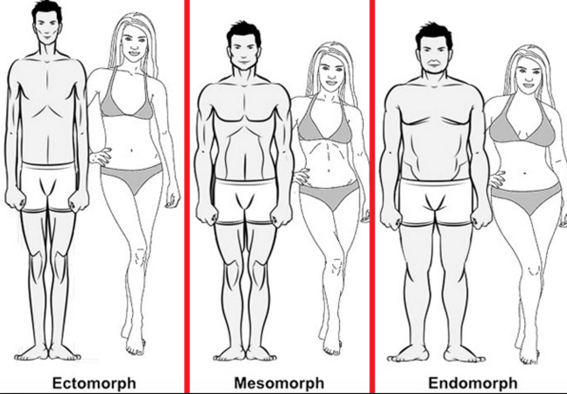 Your Body Type - Ectomorph, Mesomorph or Endomorph?